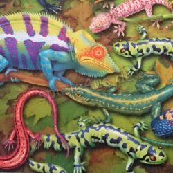 Salamander Puzzle 1000 Teile