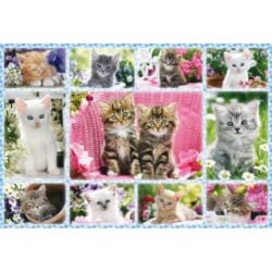 Katzenbabys 100 Teile Puzzle Schmidt 56135